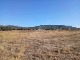 Duru Group'dan Sinanpaşa Ahmetpaşa Da Satılık 2396 M2 Arsa !