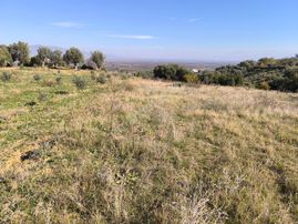 Manisa Sehzadeler Karaoğlanlı'da 1400m2 Tarla 1.150.000tl