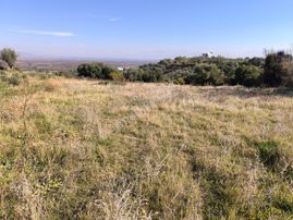 Manisa Sehzadeler Karaoğlanlı'da 1400m2 Tarla 1.150.000tl