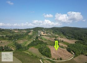 Sinop,balıfakı'da 8 Dönüm Satılık Tarla