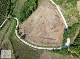 Sinop,balıfakı'da 8 Dönüm Satılık Tarla