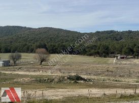 Sümbüller'den Seyitgazi Oynaş Köy İçi 3500 M2 Arsa