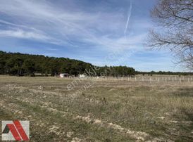 Sümbüller'den Seyitgazi Oynaş Köy İçi 3500 M2 Arsa