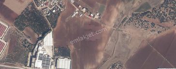 Zorlu'dan Dağcı Mah. Villa İmarlı Satılık Tek Tapu Arsa