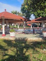 Didim Efeler Mahallesinde