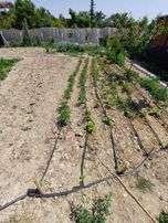 Sarayköy'de 310 M2 Müstakil Tapu Satılık Bahçe