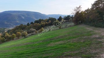 11.802 M² Manzaralı Karasukabaklarda Kadastro Yola Cepheli Tarla