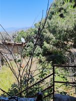 Bozdoğan Kavaklı'da Müstakil Tapulu Kargir Ev | Yatırım Fırsatı