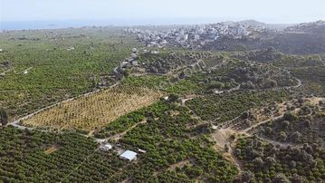 Gümüldür'de,deniz Mazaralı,2.100m2 Müstakil Mandalina Bahçesi