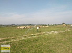 Torbalı&kemalpaşa Otobanı Yanında 262m2 Hisse Tapulu Tarla