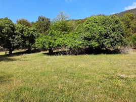 Antalya Kumluca Büyükalan Yatırımlık Fırsat Satılık Tarla