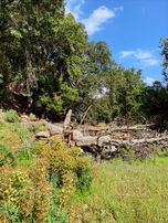 Antalya Kumluca Büyükalan Yatırımlık Fırsat Satılık Tarla