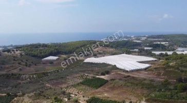 Alanya İncekum Satılık 6+1 Villa