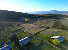 █ Garanti Emlak'tan ┤ Daday'da ┤ 2.516 M² ┤ Tamamı İmarlı Arsa █