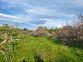 Kazdağları Eteklerinde Asfalt Yol Cepheli Satılık 4000 M2 Tarla