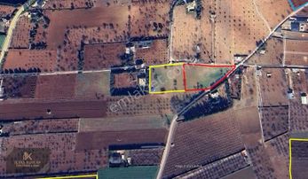 Serince Mah.asfalt Üzeri 4.893m2 Satlık Arazi
