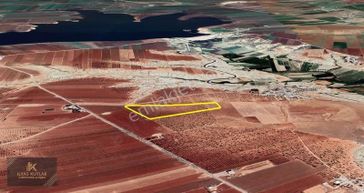 Kayacık Barajı Dibinde Satlık 51.855m2 Fıstık Zeytin Bahçesi....