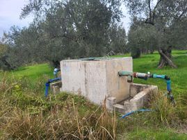 Havran Hamambaşında Satılık 1.700 M2 Zeytin Bahçesi