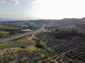 Yatırım Fırsatı !! Sanayi Yanı Tek Tapu Fırsat Arsa