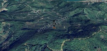 Century21'den Gülyalı Taşlıçay'da Fındık Bahçesi