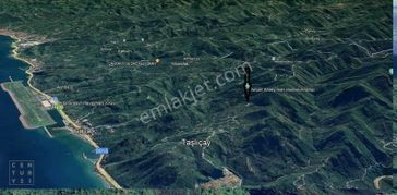 Century21'den Gülyalı Taşlıçay'da Fındık Bahçesi