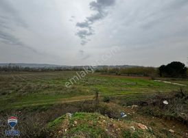 Remax İlknur -ümit Doğan Dan Adapazarı Karadere De Satılık Tarla