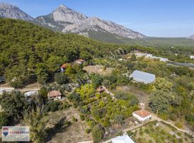 Gökçamda 1853 M2 Narenciye Bahçesi