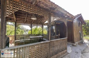 Gökçamda 1853 M2 Narenciye Bahçesi