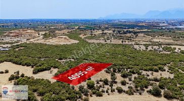 Antalya Kepez Başköy'de Organize Sanayi Arkası Ticari Arsa