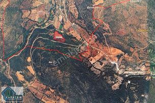 Ormana Sınır Fırsat Arazi (kutludüğün Mah)