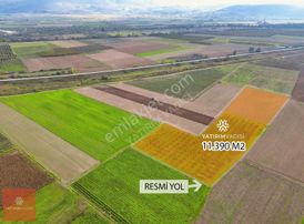 Yatırım Vadisi'nden Ayaz Köy 11.390 M2 Şeftali Nektarin Bahçesi