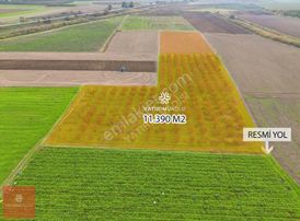 Yatırım Vadisi'nden Ayaz Köy 11.390 M2 Şeftali Nektarin Bahçesi