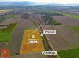 Yatırım Vadisi'nden Ayaz Köy'de 6.118 M2 Naşhi Armut Bahçesi