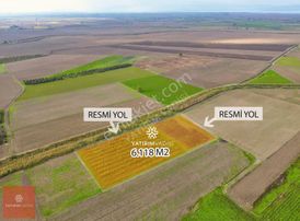 Yatırım Vadisi'nden Ayaz Köy'de 6.118 M2 Naşhi Armut Bahçesi