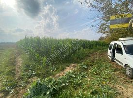 Turpa 360 Dan En Verimli Yerde Satılık Arazi