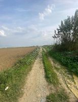 Turpa 360 Dan En Verimli Yerde Satılık Arazi