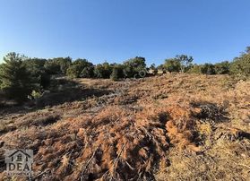 Manisa Osmancalı'ya 1 Km Uzaklıkta 4950m2 Doğa Manzaralı Tarla