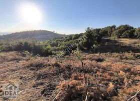 Manisa Osmancalı'ya 1 Km Uzaklıkta 4950m2 Doğa Manzaralı Tarla