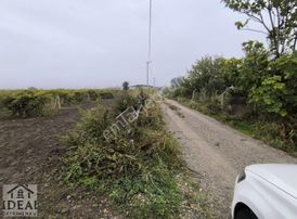 Manisa Yunusemre Muradiye Göksu Yakını 4.200m2 Direkli Bağ