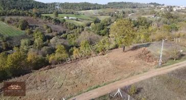 Altınova Geyikdere'de 2550 M2 Yola Cephe Manzaralı Tarla