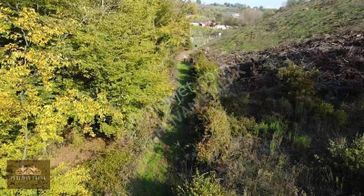 Altınova Geyikdere'de 4182 Manzaralı Satılık Arazi