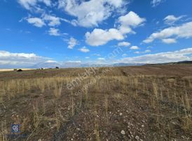 Afyon Dinarda İlçe Merkezi Ve Sanayiye Yakın Satılık Tarla