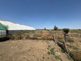 A-k Emlaktan Adzıda 3250 M2 Çadır Besihaneli Satılık Tarla