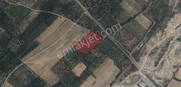 A-k Emlaktan Atakentte Toplam 4069 M2 Satılık Eriklik Tarla