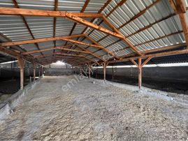 A-k Emlaktan Karabulutta Toplam 2000 M2 Yaklaşık 700 M2 Kapalı Alanı Olan Çiftlik