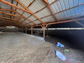A-k Emlaktan Karabulutta Toplam 2000 M2 Yaklaşık 700 M2 Kapalı Alanı Olan Çiftlik