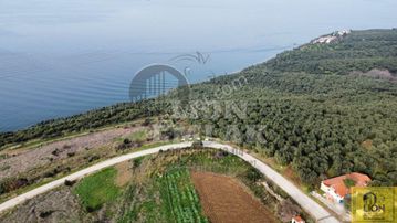 Edincik Mahallesiedincik Mahallesinde Ana Caddeye Cephe Deniz Manzaralı Satılık Arsa