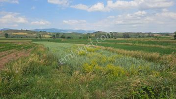 Sahibinden Kastamonu Merkez Göl Emirler Satılık Arsa