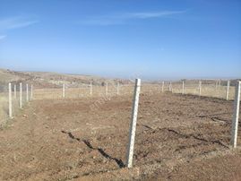 Peçenekte Satılık 280 M2 Arsa Hisse Tapulu Tel Örgülü