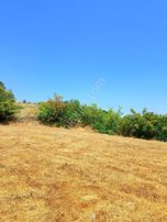 Rota Karesi Den Hobi Bahçelik ***araç Takasına Uygun***